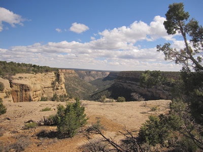 mesa